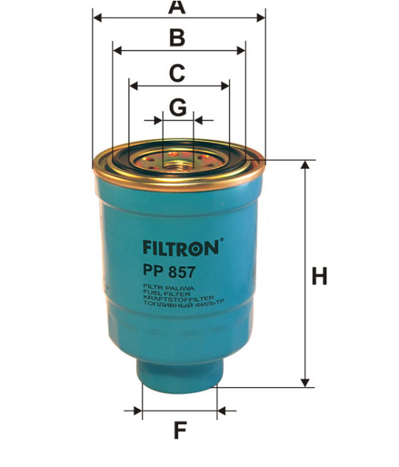 Filtro gasolio